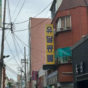 유달콩물 리뷰 사진