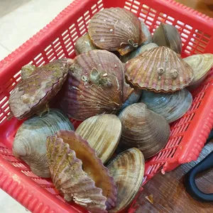 강릉염전조개구이 사진
