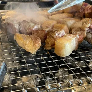 돈포레스트 사진