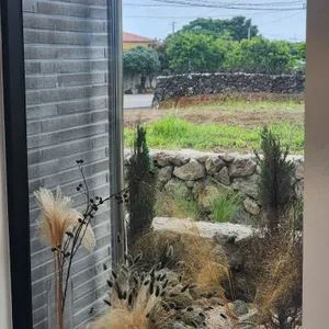 카페디캠 리뷰 사진