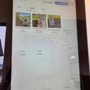 카페디캠 리뷰 사진