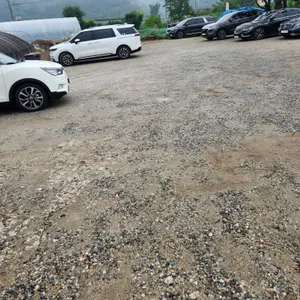 고향집 리뷰 사진