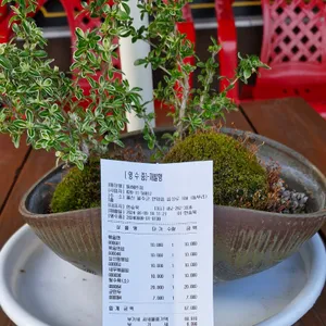 동해반점 리뷰 사진