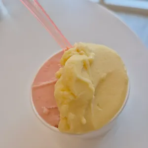 오셔젤라또 사진