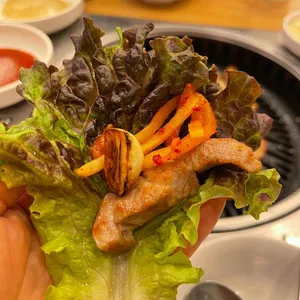 지리산 왕재봉 흑돼지 사진