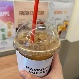 매머드익스프레스 사진 2