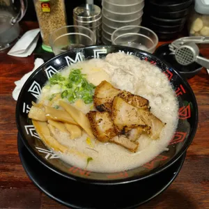 코이라멘 사진