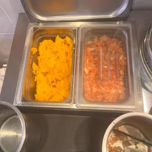 고씨네 사진
