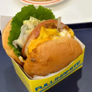 풀리너마이트 사진