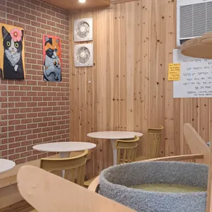 집사의하루 리뷰 사진