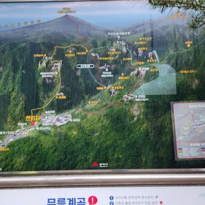 무릉계 동해식당 리뷰 사진