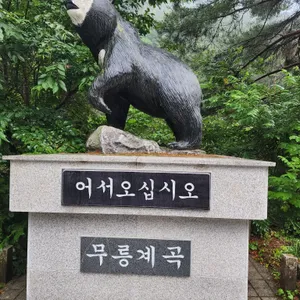 무릉계 동해식당 리뷰 사진