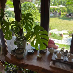 유유차적 리뷰 사진