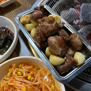 산적통갈매기 사진
