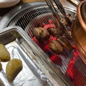 산적통갈매기 사진