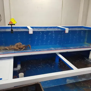 구룡포 대게마트 리뷰 사진
