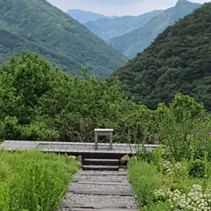 리틀포레스트 리뷰 사진