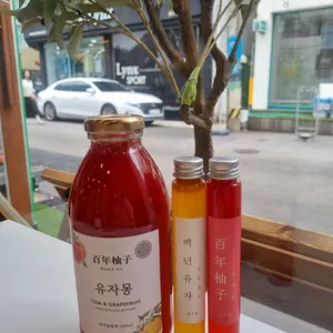 백년유자 사진