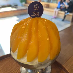 오얏꽃 사진