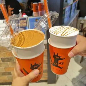 필아웃 사진