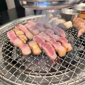고미담 사진