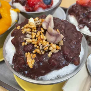 생강나무 사진