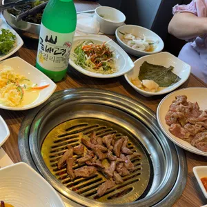 송도갈매기 사진