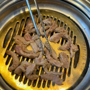 송도갈매기 사진
