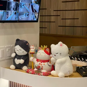 제임스백 리뷰 사진