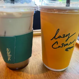 게으른악어 사진