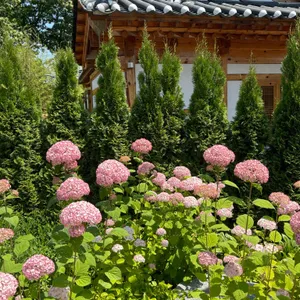 화림원 리뷰 사진
