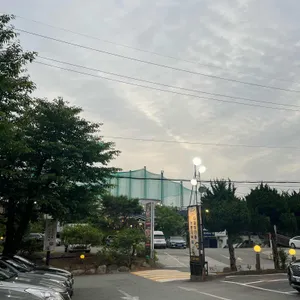 다람쥐마을 누룽지백숙 리뷰 사진