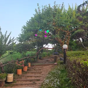 목향 리뷰 사진