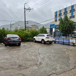 해송가 리뷰 사진