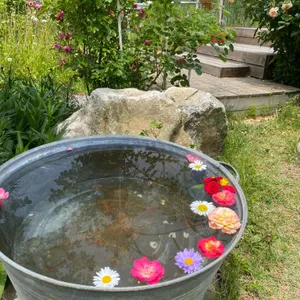 서동리 사진