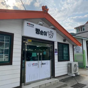 빵순이 리뷰 사진