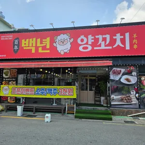 백년양꼬치 리뷰 사진