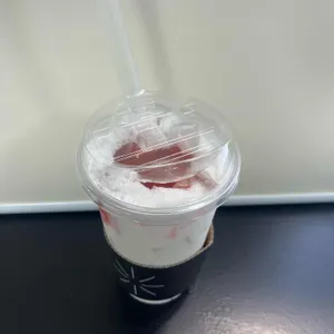 오슬로우 사진