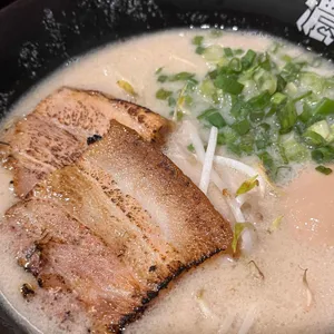 코이라멘 사진