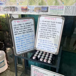 솔향기 리뷰 사진