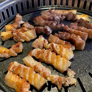 거북이동네 사진