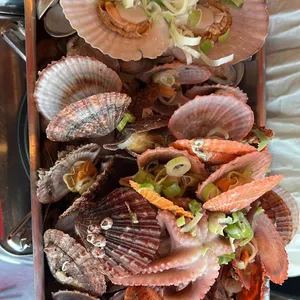 지금조개 사진