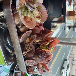 지금조개 리뷰 사진