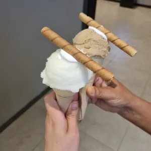 지파시 사진