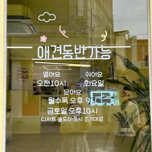 하이데이지 리뷰 사진