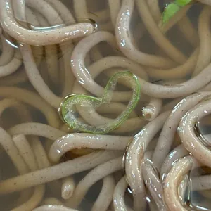 본소바 사진