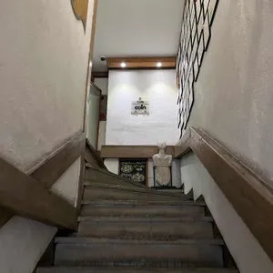 카페 코인 리뷰 사진