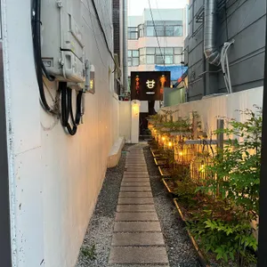 킨슈 리뷰 사진