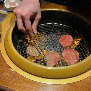 킨슈 사진