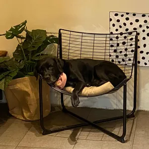 두옥 리뷰 사진